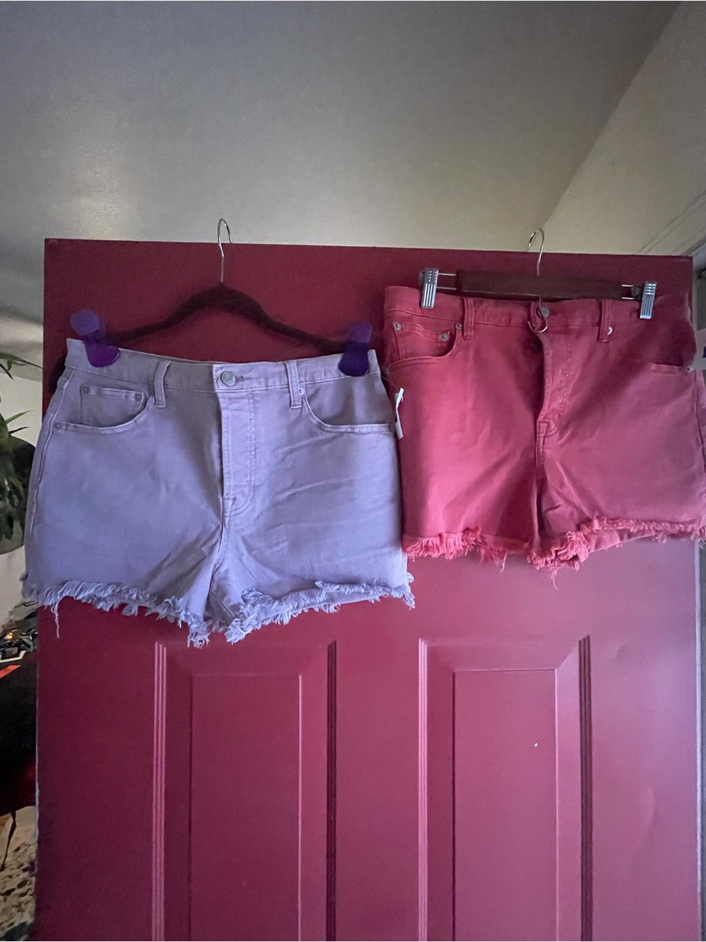 NWT Frayed Hem Women's GAP Denim Shorts in Lavender and Coral with button fly